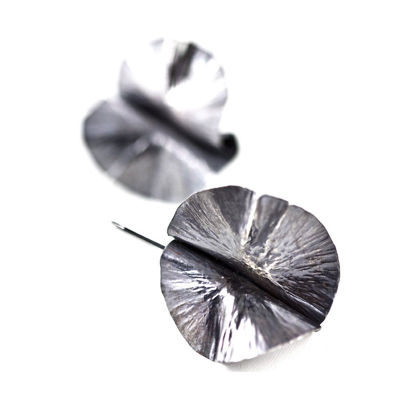 Botanical Collection